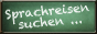 LINGOSCHOOLS