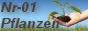 Nr-01 Pflanzenversand Gutscheine