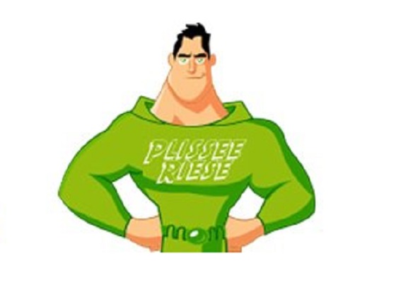 Plissee Riese