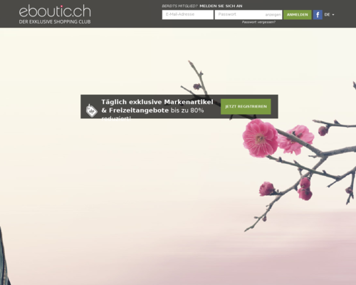 eboutic.ch Screenshot