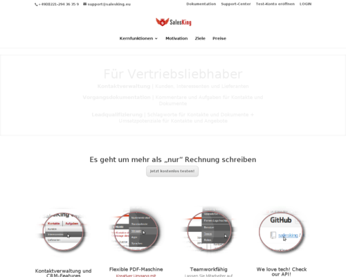 Salesking Screenshot