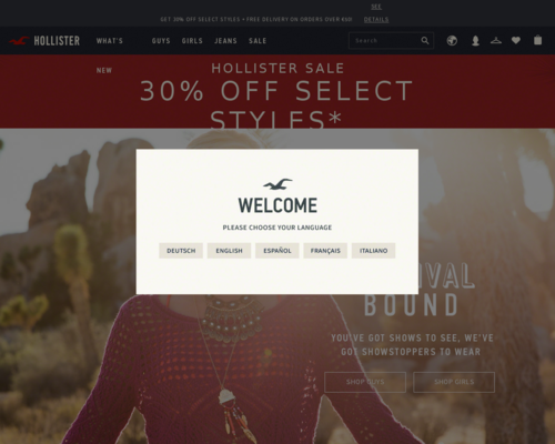 Hollister Screenshot