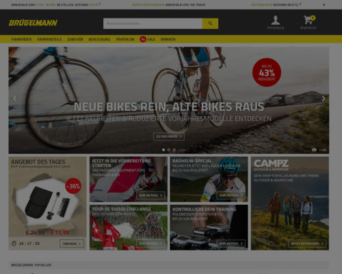 bruegelmann.de Screenshot