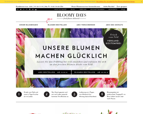 BLOOMY DAYS Screenshot
