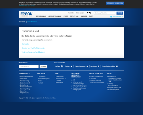 Epson Screenshot