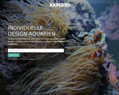 axperto Screenshot